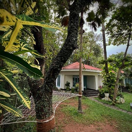 Paddle Cult Hotell Varkala Exteriör bild